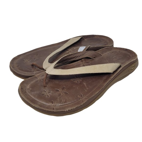 chacos dolman pine